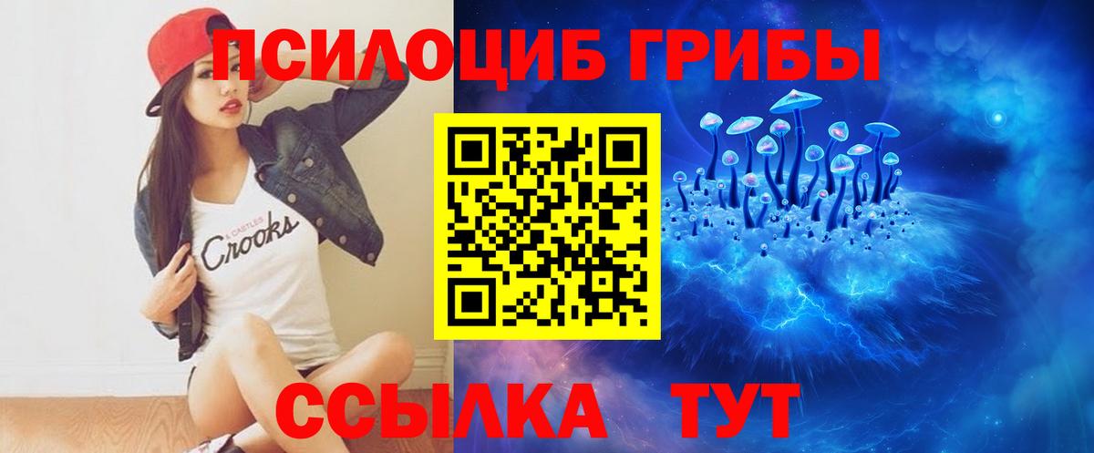 Галлюциногенные грибы прущие грибы  Вход с VPN  Вичуга 